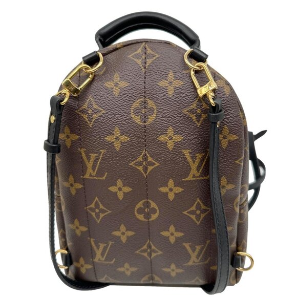 LOUIS VUITTON  Palm Spring Mini Monogram Canvas Backpack Brown - Picture 4 of 11